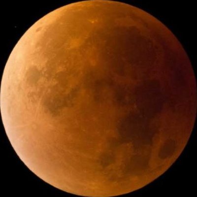 RomulusVolk's profile picture. Fanboy de cómics, videojuegos, libros, series, películas y juguetes.