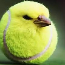 JohnDoe23752228's profile picture. 