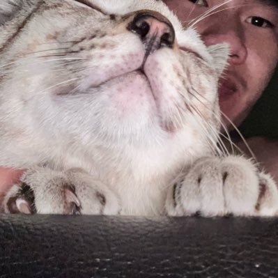 nuttthut's profile picture. 😍