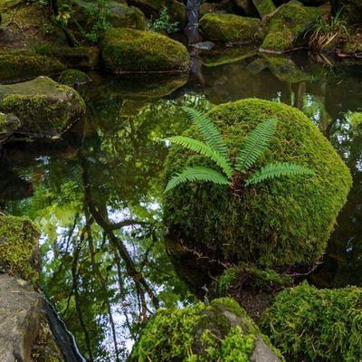 LifesABliss19's profile picture. 