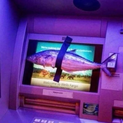 venus4937's profile picture. 🇺🇦 🇵🇸 | 🌹 beautiful cabin crew | Canadian Federal Fentanyl Czar | immature | 21 |