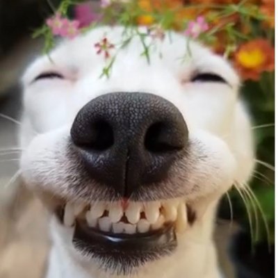 7Heavenly23871's profile picture. @79milek34913 2026🗓️
1000$ earned🏆
Best fragger🎯
USE CODE: ERLANG