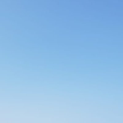 arieleoliv's profile picture. @flamengo