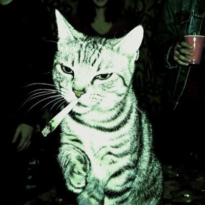 giisnotonfire's profile picture. no. i move slow. i want to stop time, i'll sit here till i find the problem.