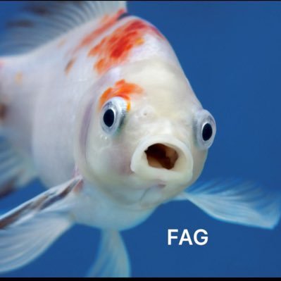 RIPGeorgeLopez's profile picture. canonically no longer a juggler