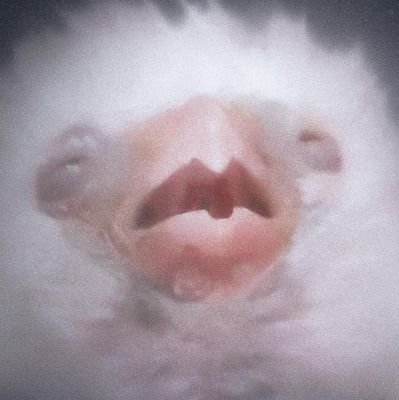 weepingcel's profile picture. May the sun extinguish itself