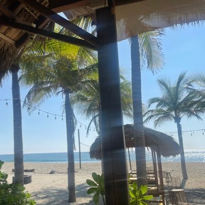 An300298's profile picture. 