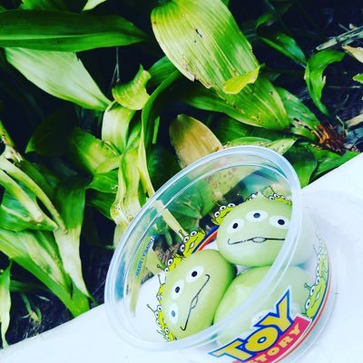 yura8_19's profile picture. 