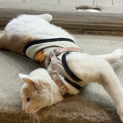 lo6dfu8jt's profile picture. แค่กลับมาใช้ชีวิตเป็นปกติ