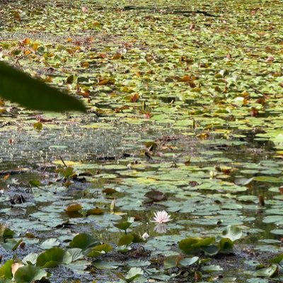 SLATE49's profile picture. 