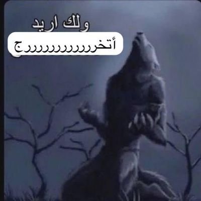 impaandaa's profile picture. اللهم صل على محمد و آل محمد | ولك أريد أتخرررررررررررررررررررررررج