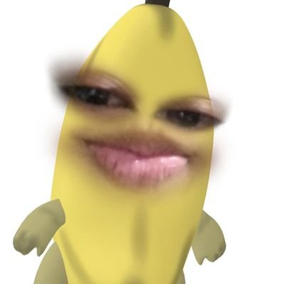 warunii11's profile picture. 