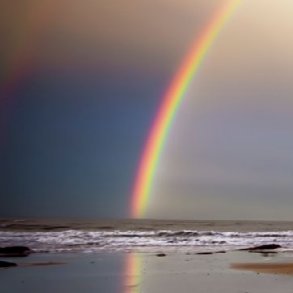 advertisngshawn's profile picture. I'm interested in recruiting/staffing (especially legal & education), newspaper advertising and job boards & that's what you'll find here.