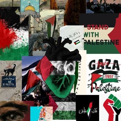 mohamad2001r's profile picture. Mohammed , 24 years old, living in Gaza. Free Palestine. Our dream is to live in peace. 
#FreePalestine #Followme  #gaza #Retweetplease