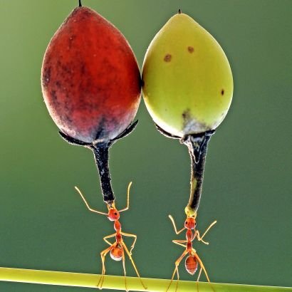 Mohamme93438764's profile picture. الرستاق دار المشتاق