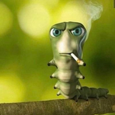 whitecatdefend's profile picture. crypto 0 knowledges