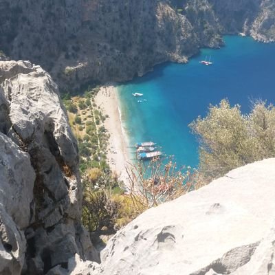 06Nisan1453's profile picture. 