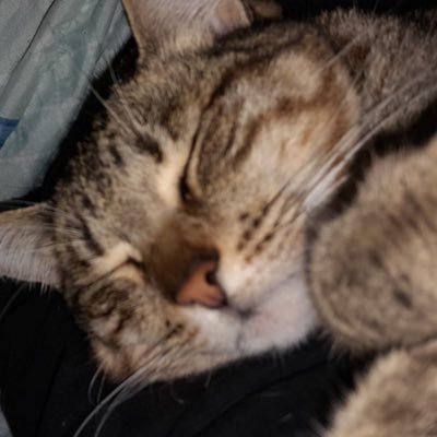 Gerrefi's profile picture. fiquem atentos em breve irei expor um trauma meu em forma de piada / relações internacionais ufpel