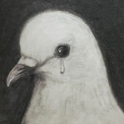 AynLt48623's profile picture. 