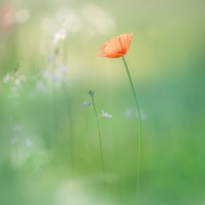 vivkato's profile picture. 