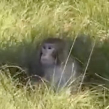 CitizenApp's profile picture. New UX same top 5 news app to keep you safe and informed in real-time. 
📲Download Citizen and #ProtectTheWorld👇