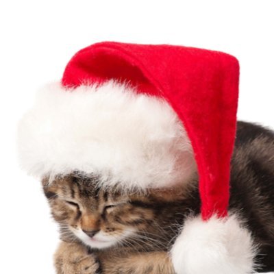 edis0n_zhang's profile picture. @cognition