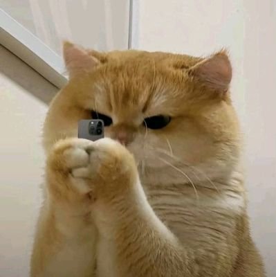 notyourauryse's profile picture. aqw player