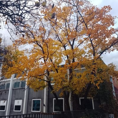 Xoogsade76's profile picture. 