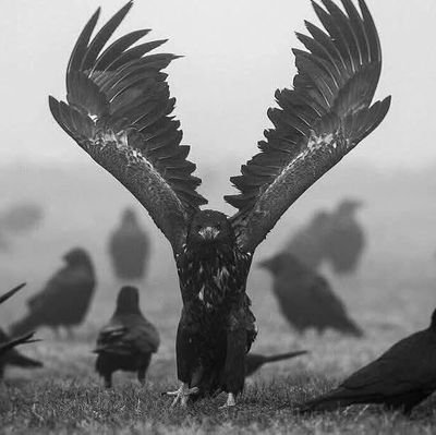 alkuwwait's profile picture. {وبشر المؤمنين}