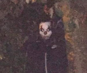 mpn82sj's profile picture. 'Cause she don't know she's beautiful (never crossed her mind)