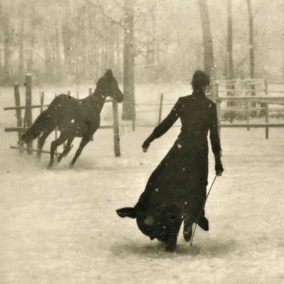 0xLoLov's profile picture. 野人自留地/  恩师579 @littlewontell