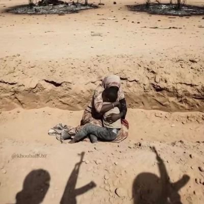 ashroo_vet's profile picture. 