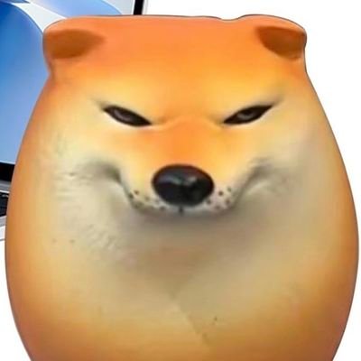 US8RXlpySGWT7nT's profile picture. 