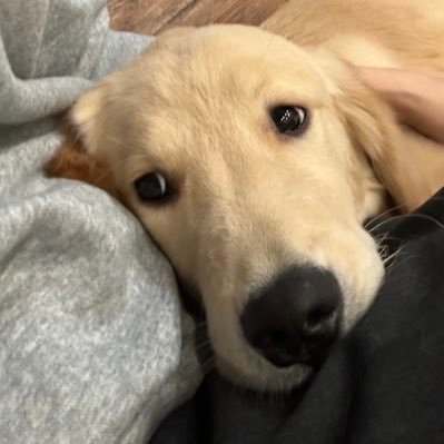 _qqqx2's profile picture. dca tq qld