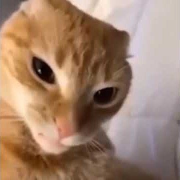 imrober_oficial's profile picture. Buenos días/tardes/noches.