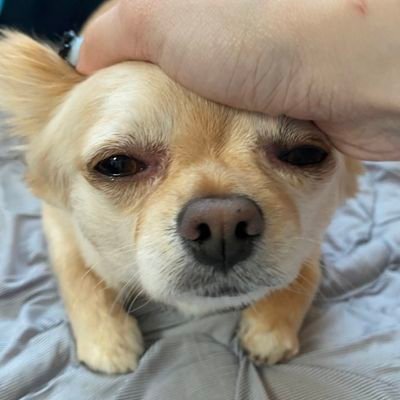 sz_moment's profile picture. 