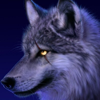 Tomatolord1975's profile picture. 