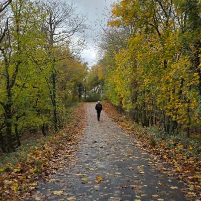 derwes_z's profile picture. https://t.co/xDaTq4gEQE