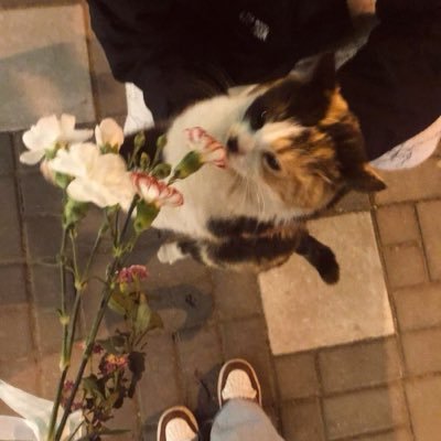 latkymin's profile picture. ✨