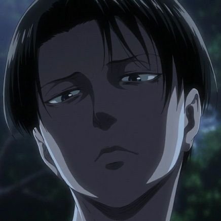 LeviAnotherCapt's profile picture. 🔞 2nd account to @LeviACaptain. This app hates me with a passion.