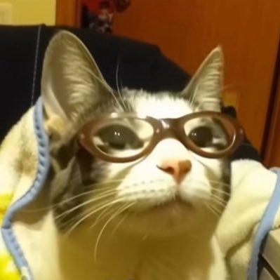 stra_bewwy's profile picture. Hyper2.0
20
After Effects Noob
Photoshop Noob
CS2 noob