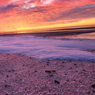 IgiMississippi's profile picture. American/Slovakian - TBL/Fan