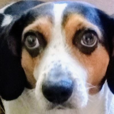 R_Gracia_Gomez's profile picture. All praise be to God! ✨.                                                    U.S. Army Veteran 🇺🇸