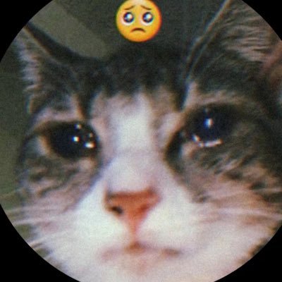 natineedy's profile picture. 4teen