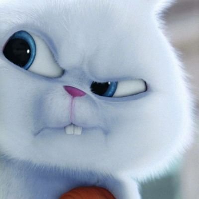 shadeofcheery's profile picture. ..