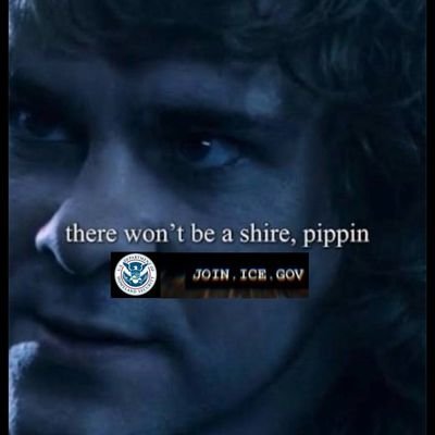 FingValue's profile picture. Grateful immigrant, unapologetic patriot. Stop importing problems, start defending values.