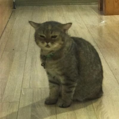 AnnaHodge58440's profile picture. 