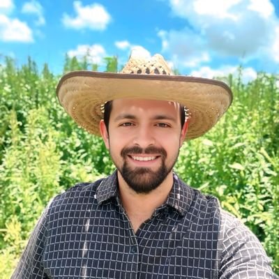 Armando55565929's profile picture. 