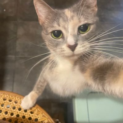 pittedplum's profile picture. smoking kills