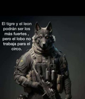 CristianAPSUV's profile picture. Presidente del movimiento de comunicación y guerrilla digital C4F  ⚜️L⚜️  #LaTropaChávez